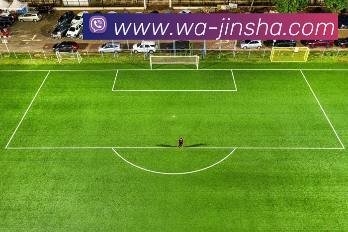 金沙国际APP 高清赛事图